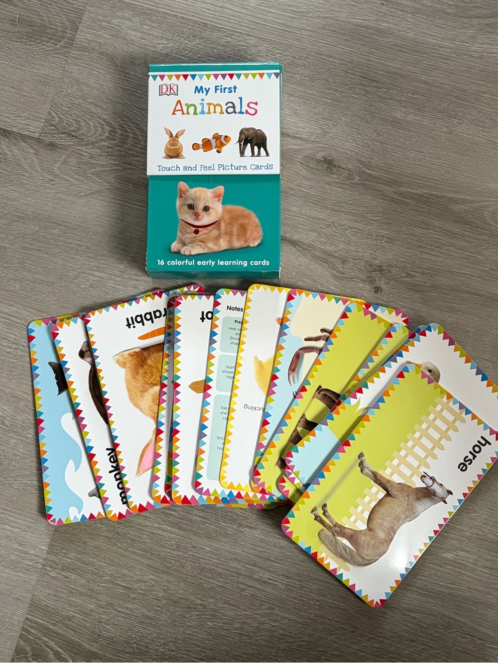 My First Animals Touch and Feel Picture Cards - Teal Box